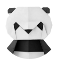 CODINGP110